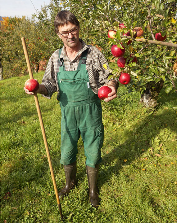 Streuobstwiese