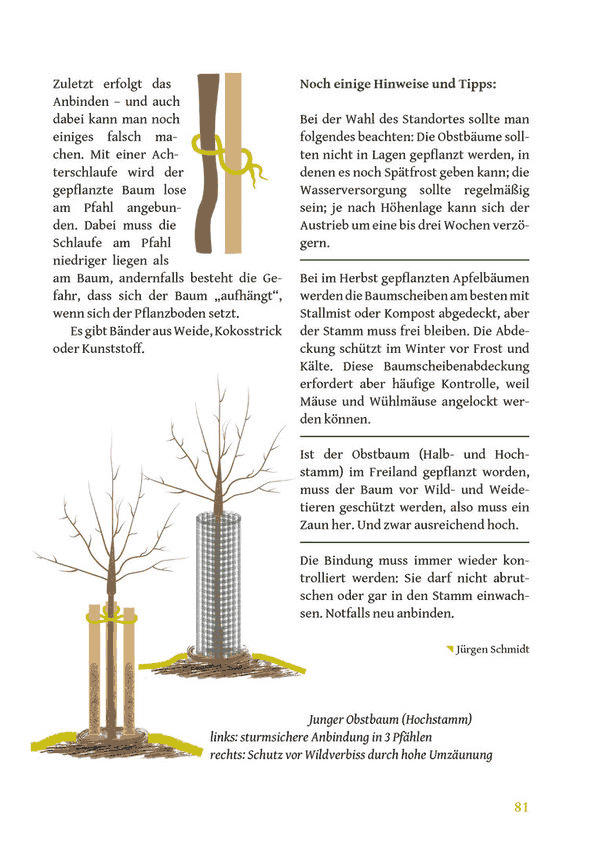 Viezbuch